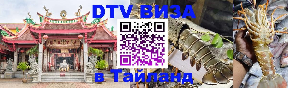 Оформление DTV визы под ключ: стоимость и тарифы, только загранпаспорт - 